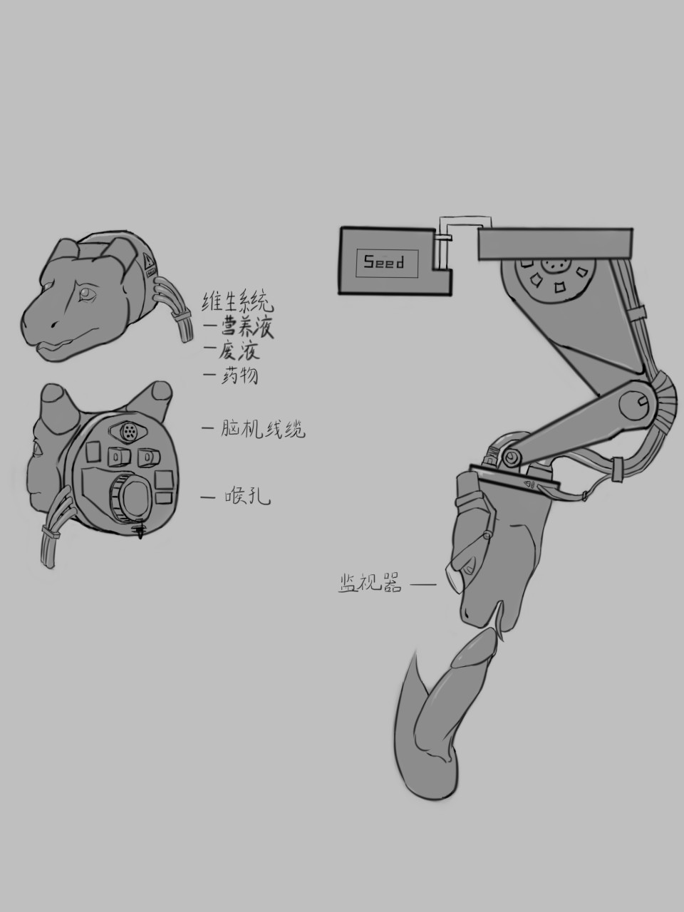 post 2491040