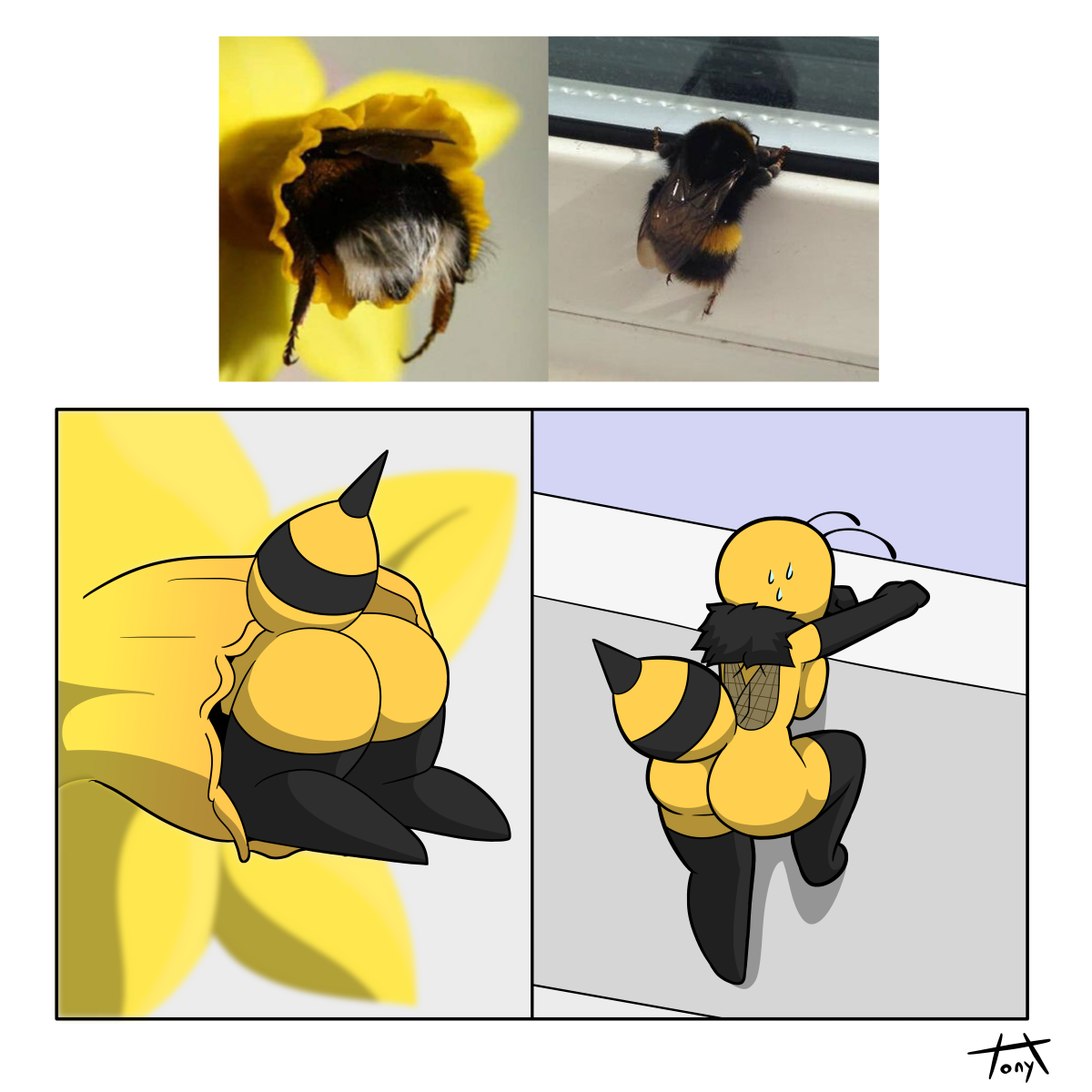post 2502302