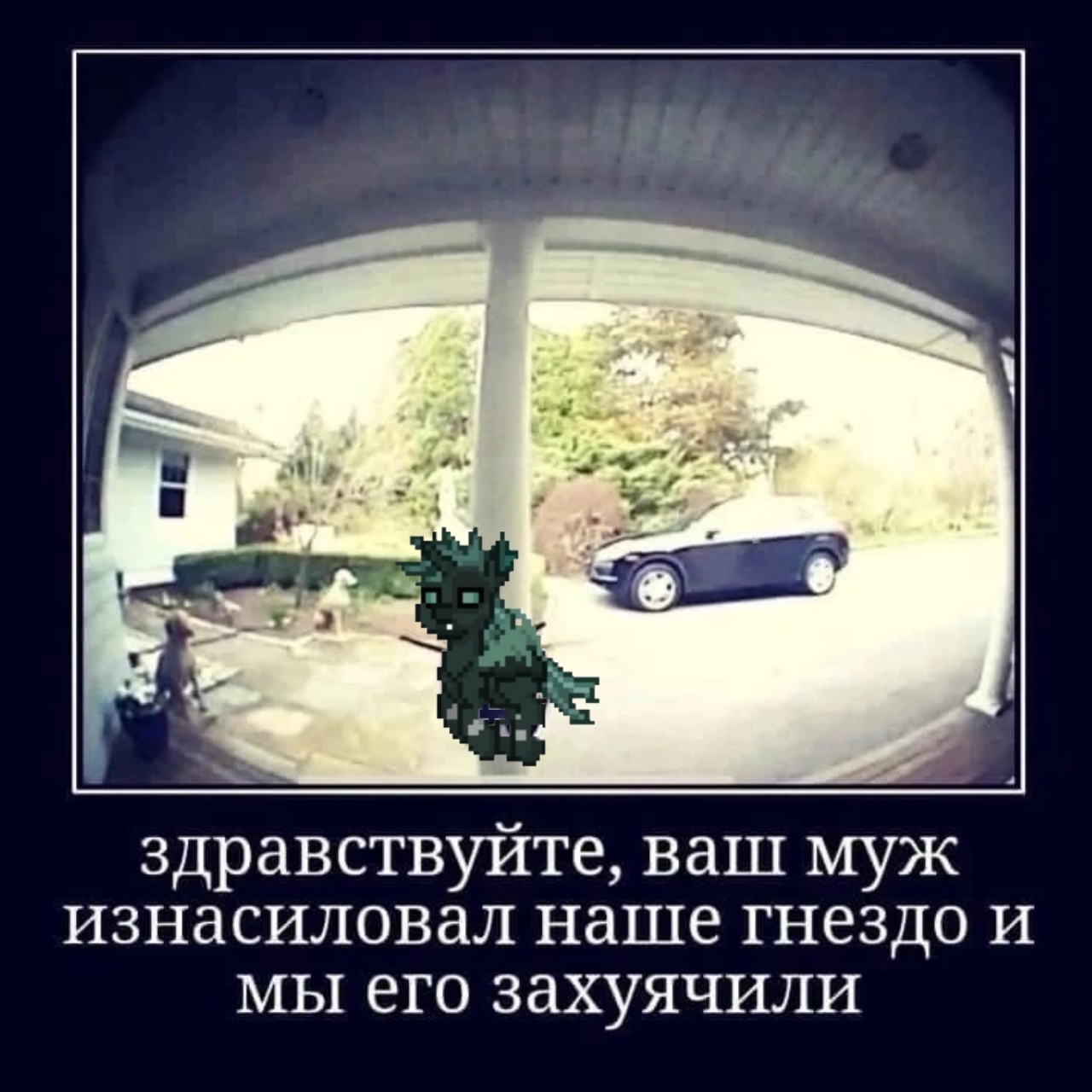 post 532543