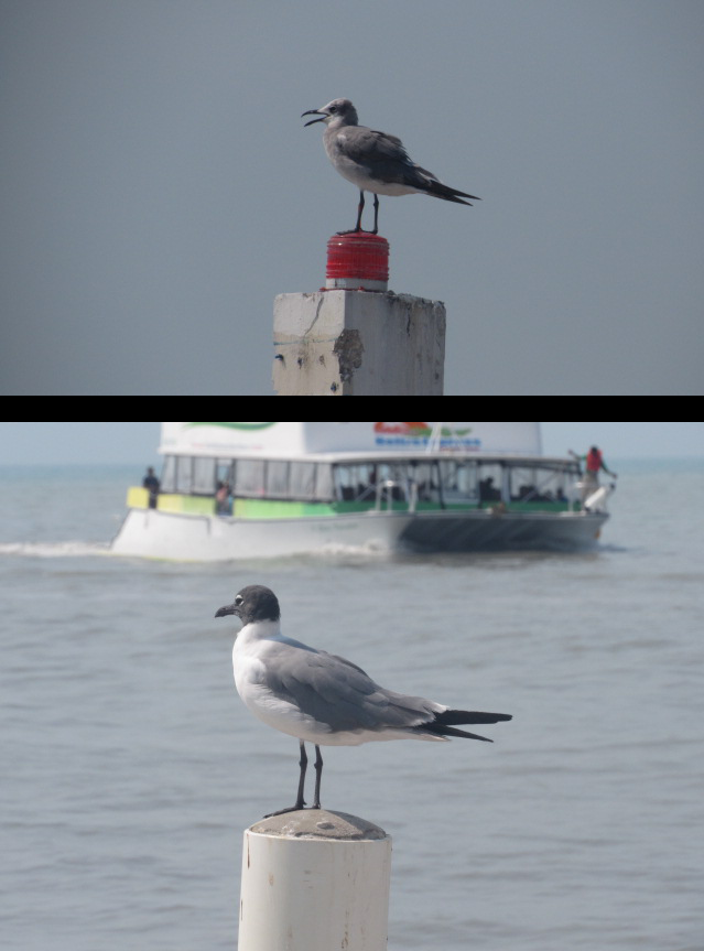 post 677171