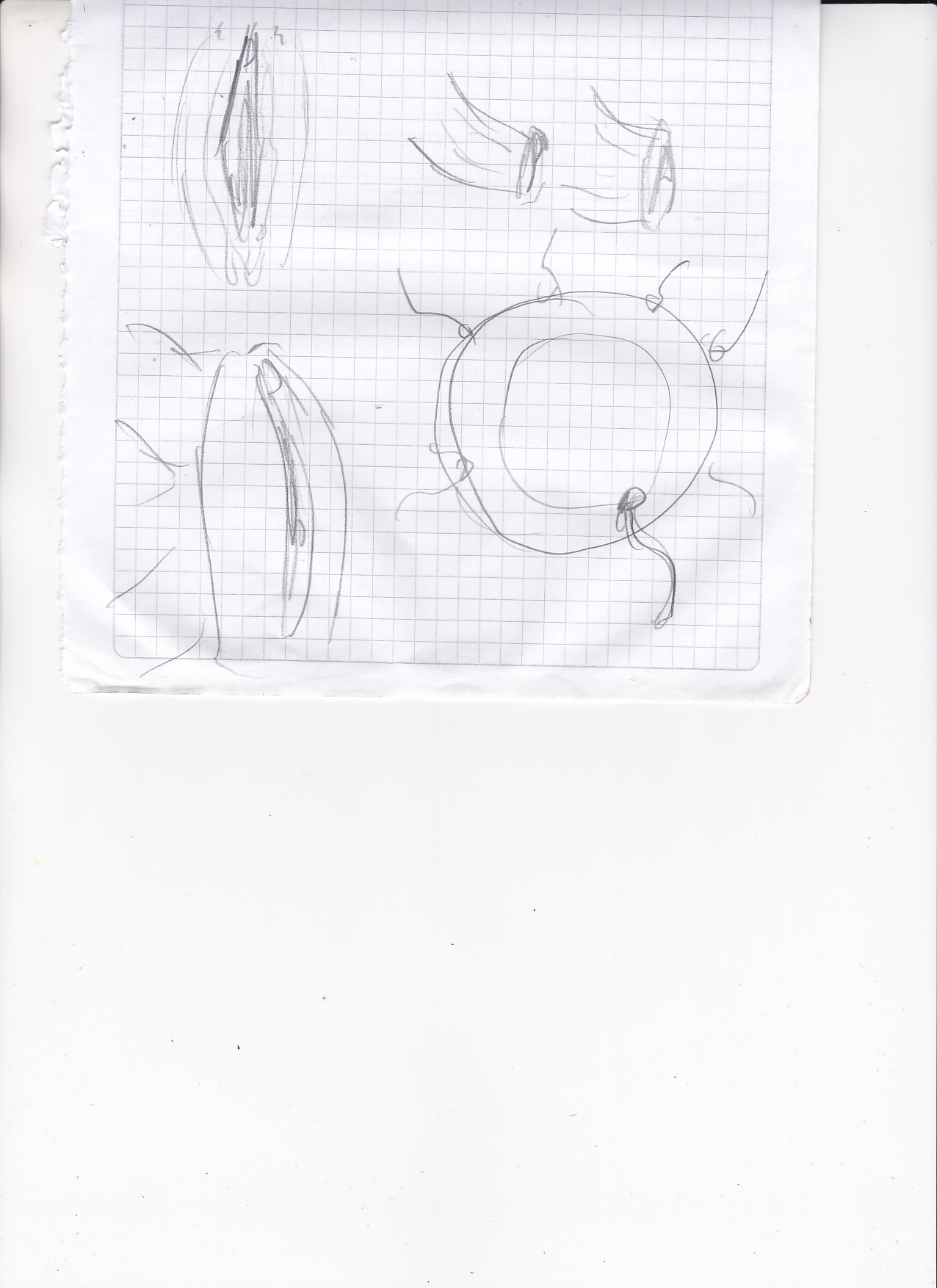 post 926981