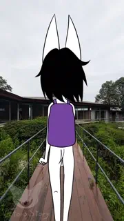 video preview for post 1005659