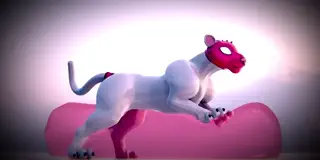 video preview for post 1019465