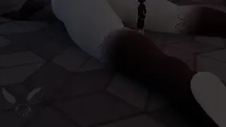 video preview for post 1146235