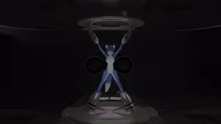video preview for post 1253173
