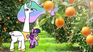 video preview for post 1293580