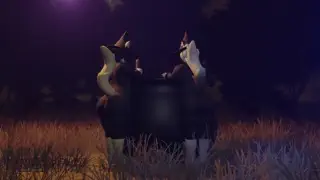 video preview for post 1294950
