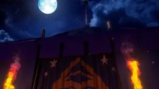 video preview for post 1312745