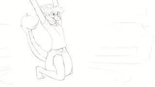 video preview for post 1338860