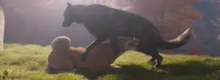 video preview for post 1376937