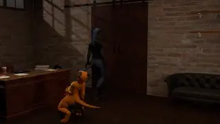 video preview for post 1432234