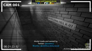 video preview for post 1434209
