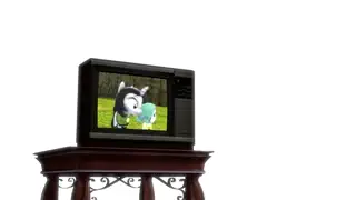 video preview for post 1448130