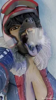 video preview for post 162260