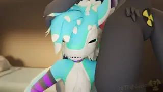 video preview for post 166282