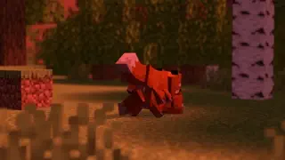 video preview for post 177089