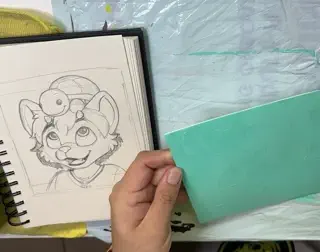 video preview for post 181200