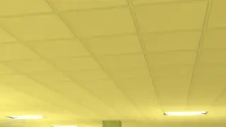 video preview for post 1828188