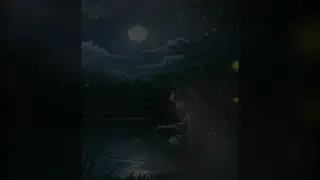 video preview for post 185715