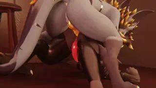 video preview for post 187508