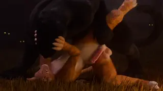 video preview for post 188078