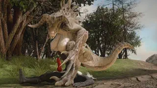 video preview for post 194842