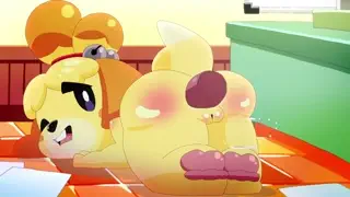 video preview for post 196173