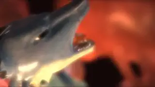 video preview for post 197496