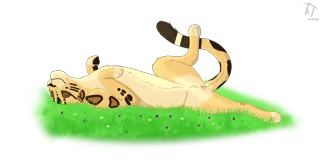 post 2007255