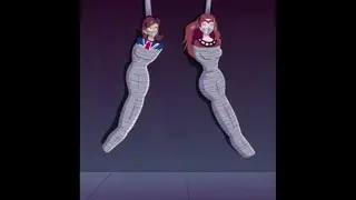 video preview for post 206438