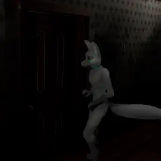 video preview for post 208841