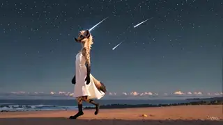 video preview for post 210064