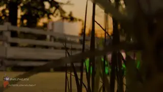 video preview for post 210927