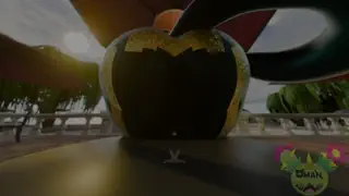 video preview for post 211552
