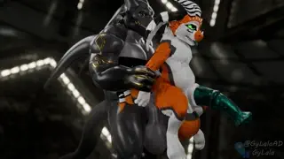 video preview for post 212295