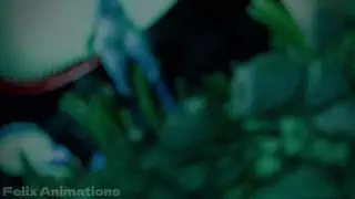 video preview for post 212391