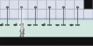 video preview for post 212628