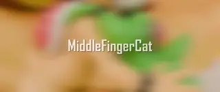 video preview for post 214660