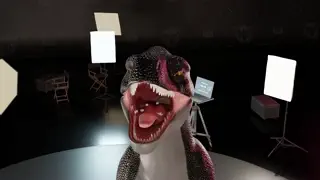 video preview for post 2187347