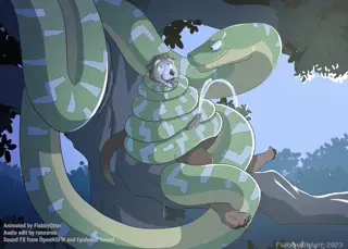 video preview for post 2274690