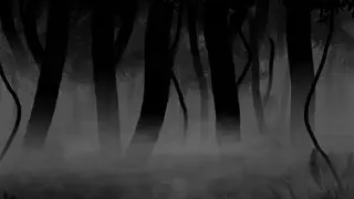 video preview for post 2301992