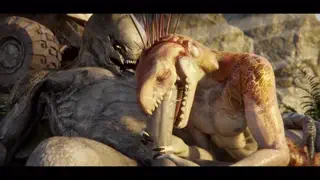 video preview for post 232351