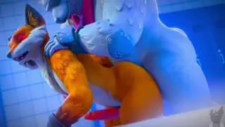 video preview for post 233799