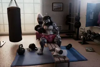video preview for post 23890