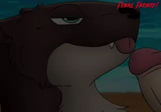 video preview for post 23935