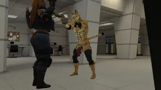 video preview for post 2422652
