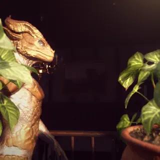 video preview for post 2440403
