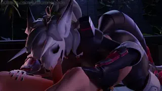 video preview for post 2457164
