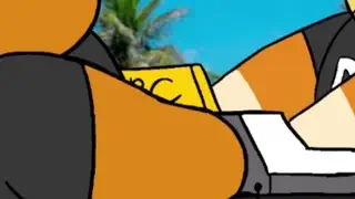 video preview for post 246289