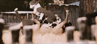video preview for post 2476932